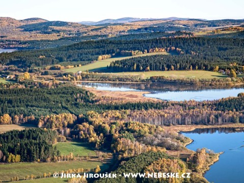 Olšov a Lipno, přírodní rezervace Olšov /J450