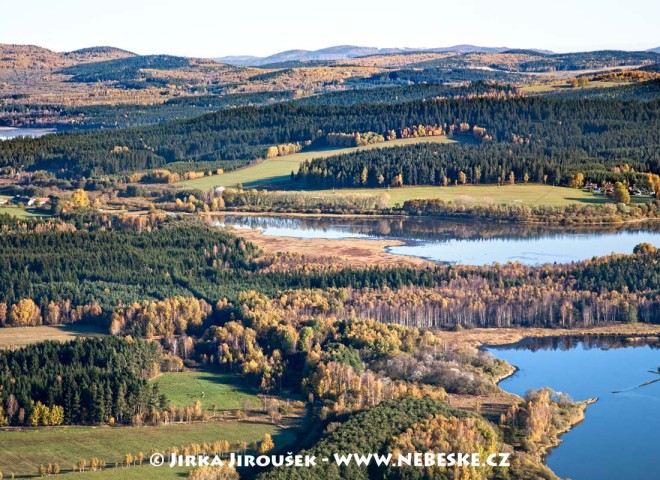 Olšov a Lipno, přírodní rezervace Olšov /J450