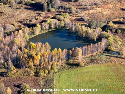 Rybníček nedaleko Olšiny /J455