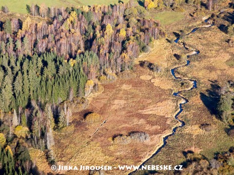 Potok Olšina /J461