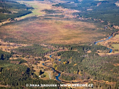 Mrtvý luh, soutok Studené a Teplé Vltavy /J726