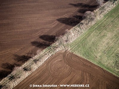 Pole a stromořadí u Řísnice /J223