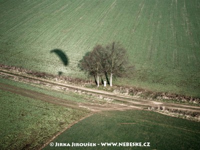 Křížek pod stromy u Miřetic /J228