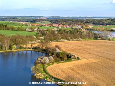 Kotenčice a rybníky Pilka a Hluboký /J194