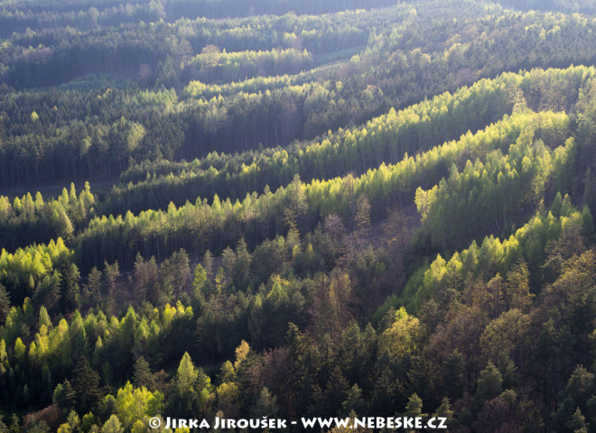 Brdský les na jaře – u Pičína /J195