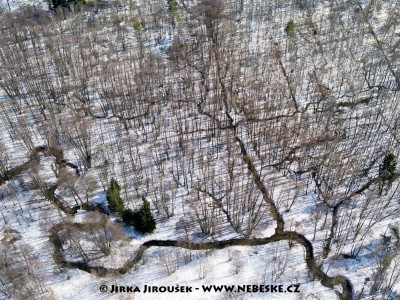 Meandry Ploučnice u Osečné /J438