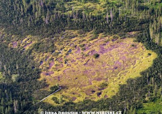 Rašeliniště Jizerky – rezervace /J366
