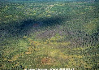 Pavlova planina, rezervace Klečové louky, říčka Bílá Smědá /J374