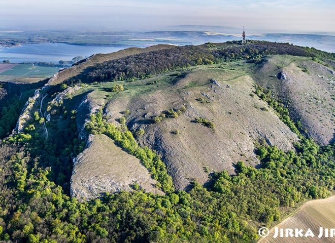 Pálava – Děvín – panorama J1341