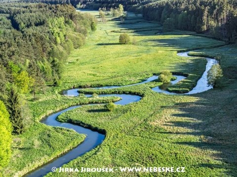 Ploučnice pod Borečkem J1599