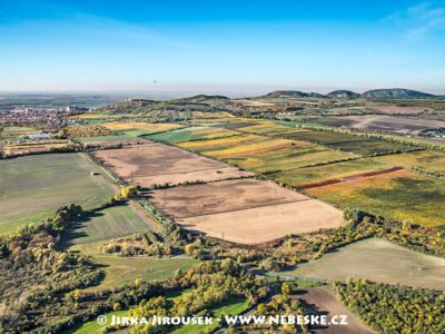 Mikulov a Pavlovské vrchy J1746