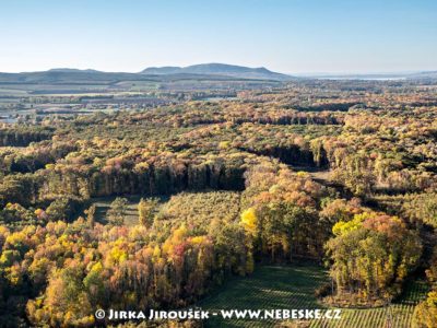 Pohled na Pálavu od Lednice J1810