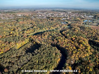 Břeclav – podzimní lesy J1831