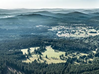 Šumava – Bučina a Knížecí Pláně panorama J1905