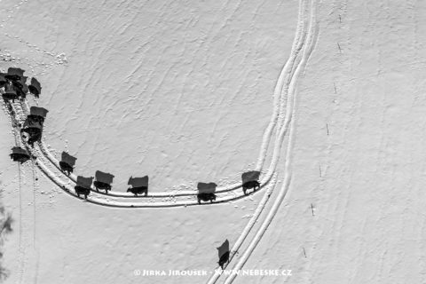 Lužické hory J2393