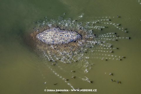 Novomlýnské nádrže J2404