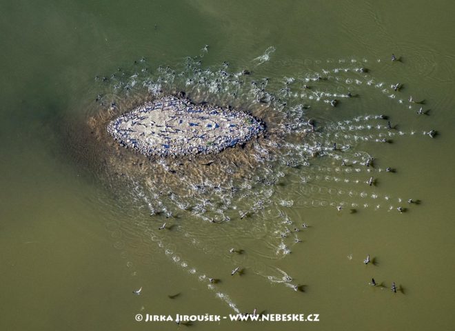 Novomlýnské nádrže J2404