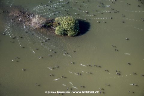 Novomlýnské nádrže J2405