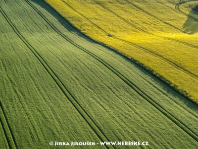 Řepka a obilí J2770