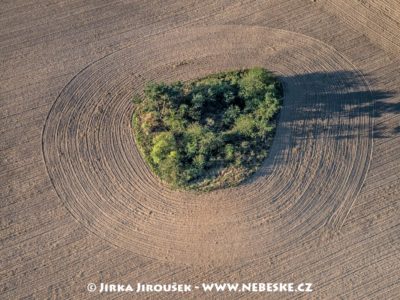 Remízek ostrůvek J2781