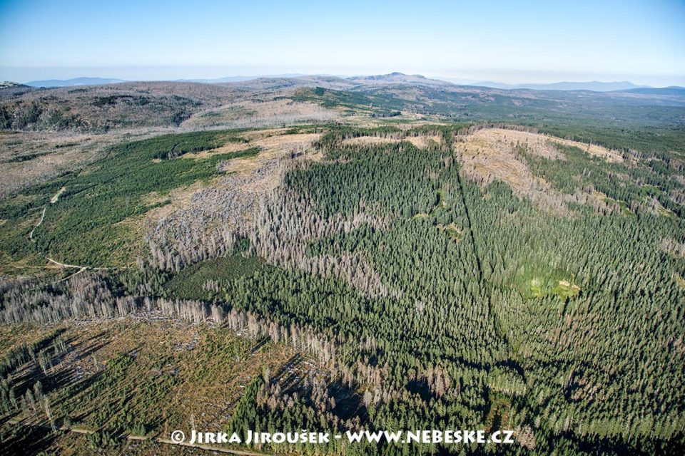 Pramen Teplé Vltavy, Černá hora, 9/2009 J3172