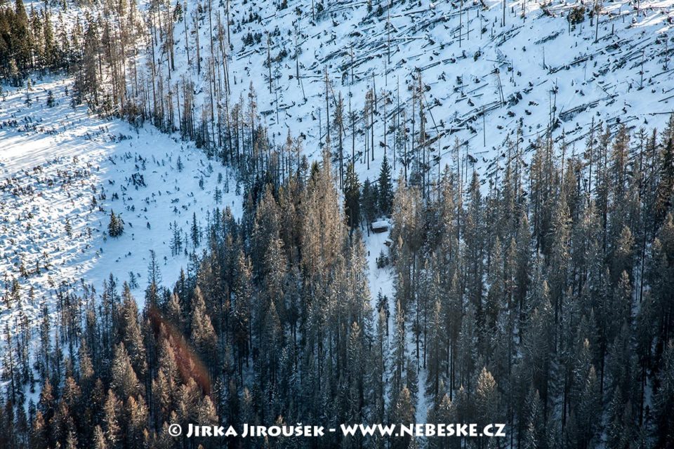 Pramen Teplé Vltavy, 12/2010 J3173