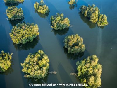 Ostrůvky – Staré jezero J3260