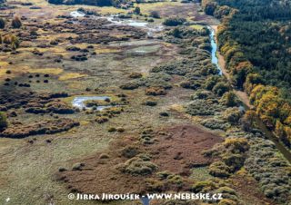 Národní přírodní rezervace Stará a Nová řeka J3285