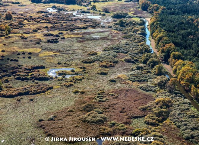 Národní přírodní rezervace Stará a Nová řeka J3285