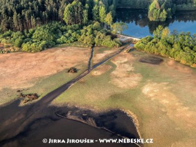 Krmení ryb na Třeboňsku J3251