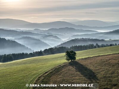 Strom u Hedeče J3590