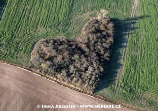 Polní remízek u Chotče J4063