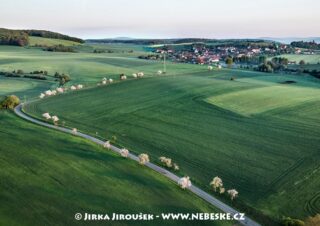 Rybník Obora u Litně J4093