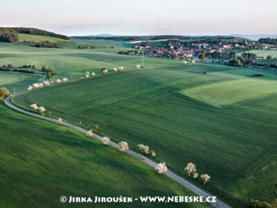 Rybník Obora u Litně J4093