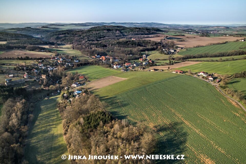 Radíč jarní 2020 J4245