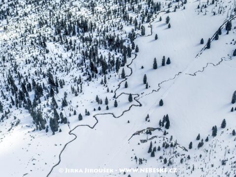 Šumava Březník Luzenský potok J5386