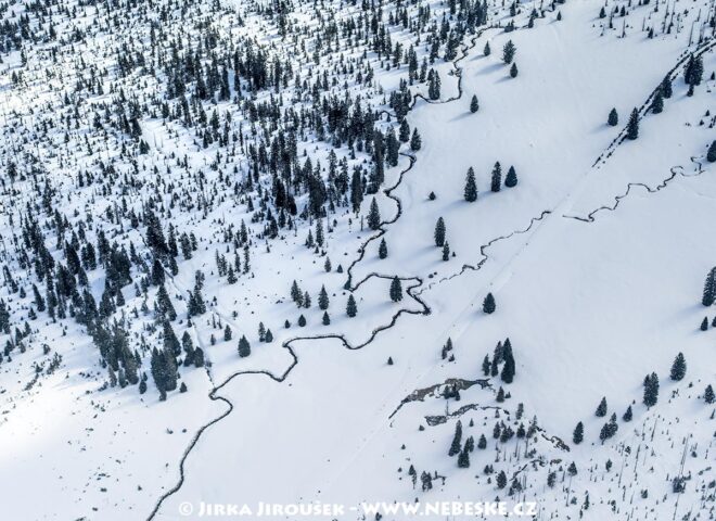 Šumava Březník Luzenský potok J5386