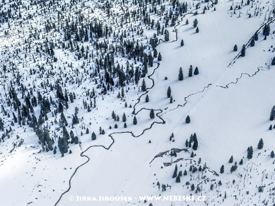 Šumava Březník Luzenský potok J5386