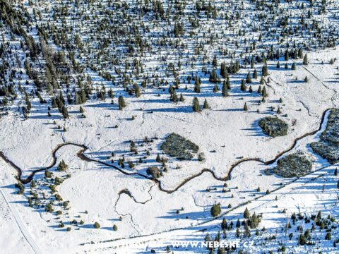 Šumava Luzenský potok J5394