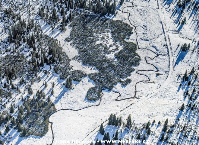 Šumava Luzenský potok J5396