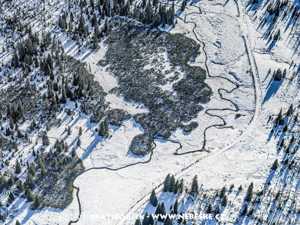 Šumava Luzenský potok J5396