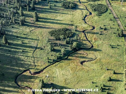 Šumava Luzenský potok 2017 J5403