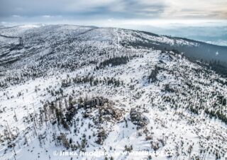 Třístoličník hřeben 2018 J5492