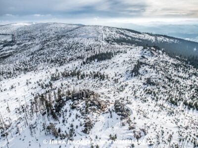 Třístoličník hřeben 2018 J5492