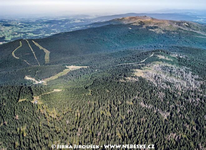 Smrčina Hochficht J5495