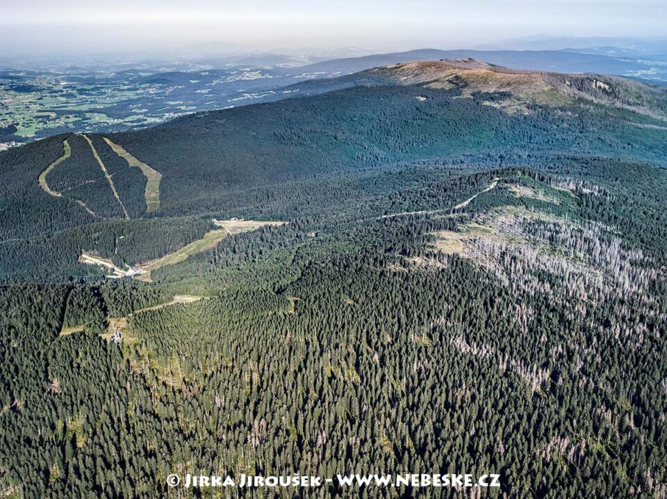 Smrčina Hochficht J5495