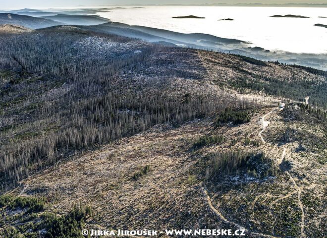 Třístoličník 2012 J5497