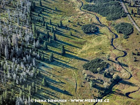 Luzenský potok 2009 J5628