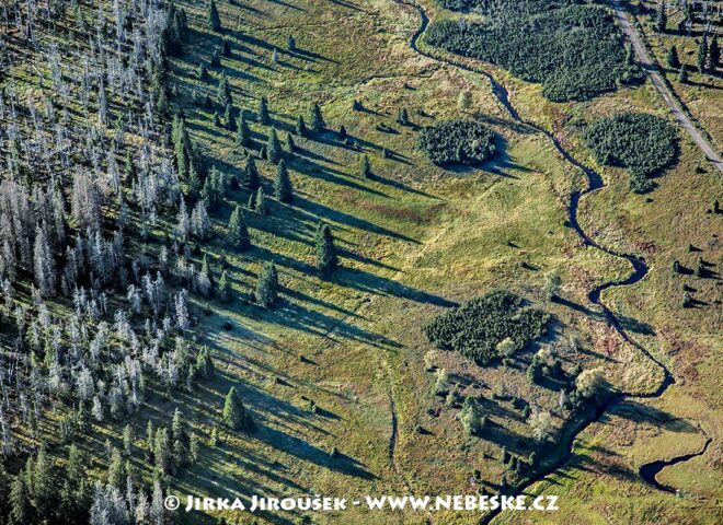 Luzenský potok 2009 J5628