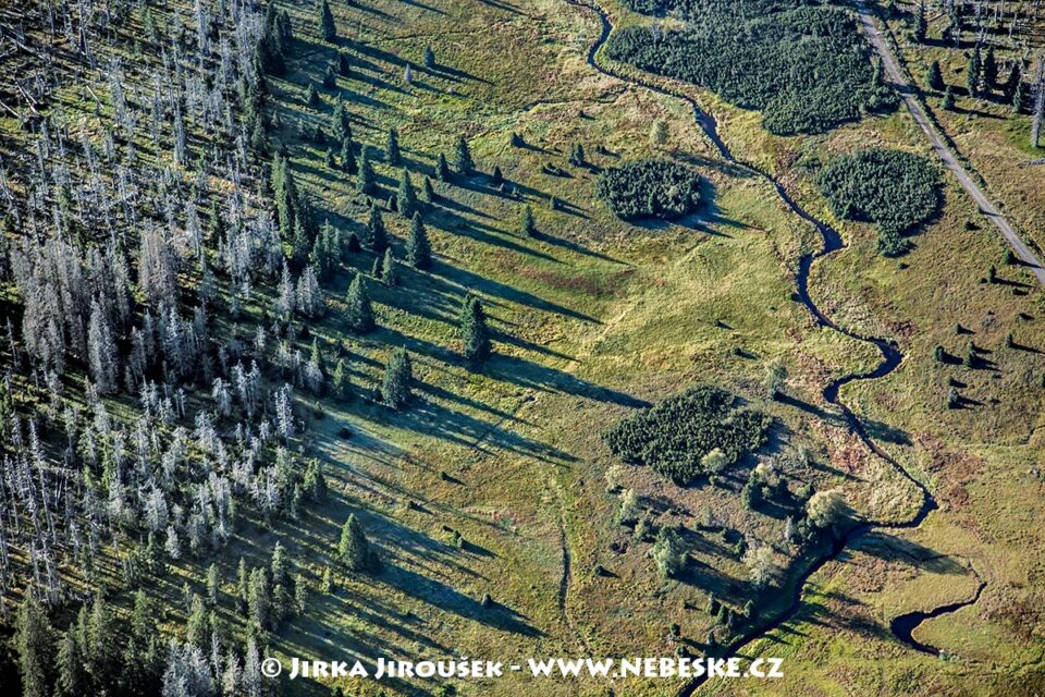 Luzenský potok 2009 J5628